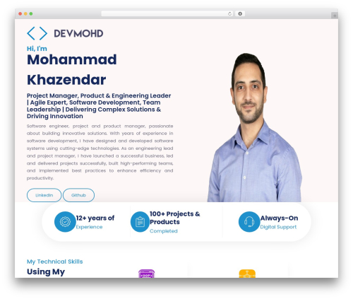 Timeliner elementor WordPress plugin - devmohd.com
