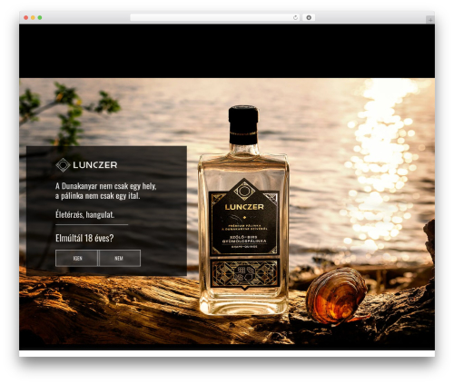 Bs barion pixel WordPress plugin - lunczer.hu