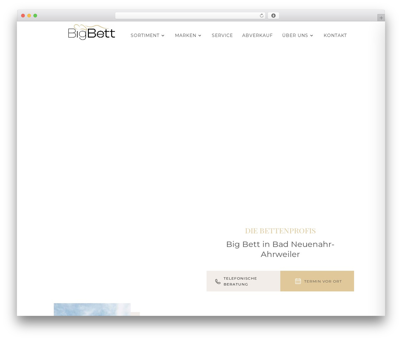 WordPress theme Divi Garant Child Theme 2.0.6 - bigbett.de WordPress theme Divi Garant Child Theme 2.0.6 - bigbett.de