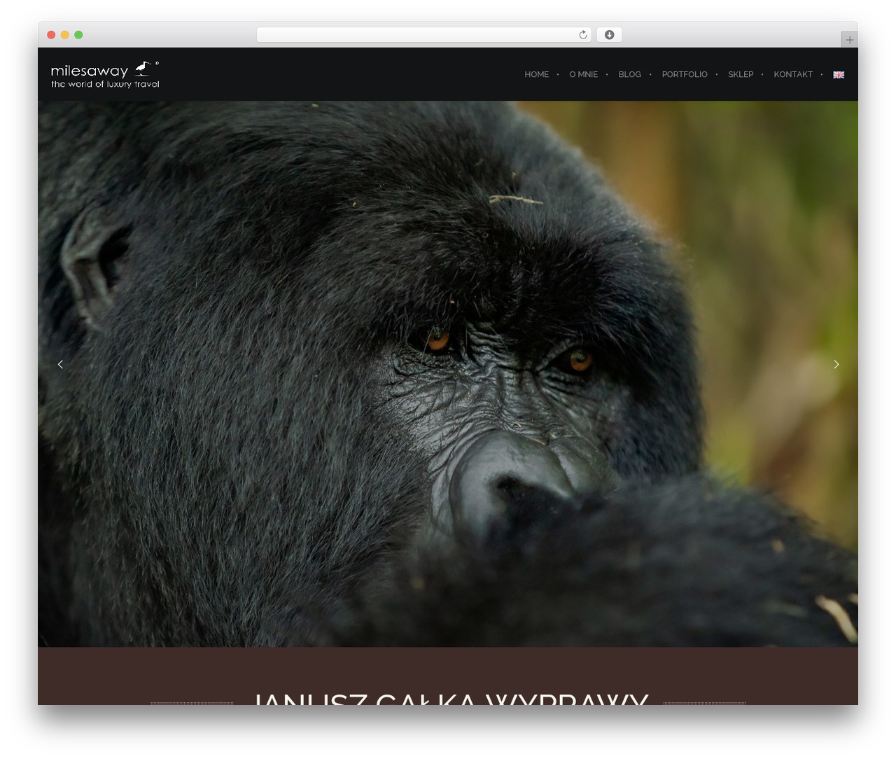 Brooklyn theme WordPress - januszgalka.com Brooklyn theme WordPress - januszgalka.com