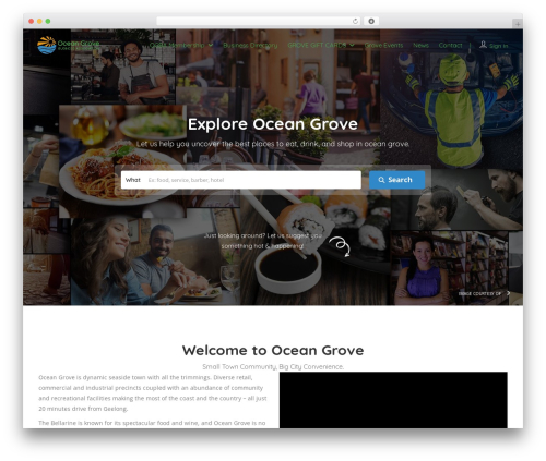 Seo repair kit WordPress plugin - oceangrovebusiness.com.au