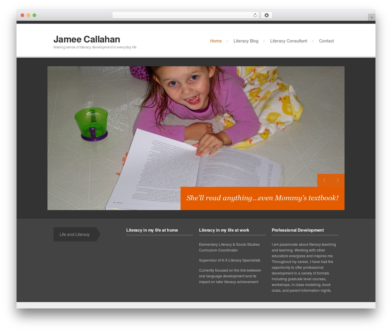 Prolio WordPress theme design - jameecallahan.com
