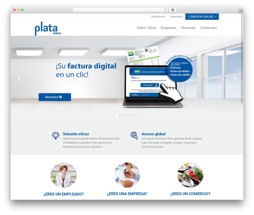 Strata WordPress theme - plata.com.ve