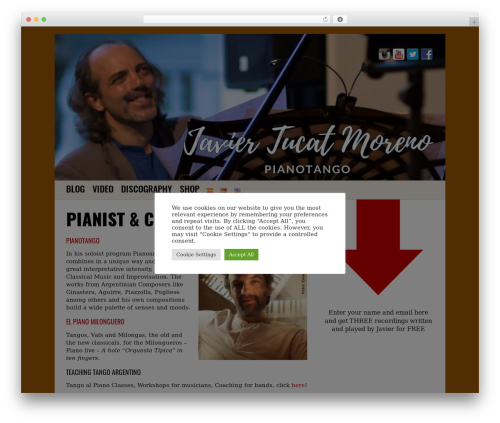 TunePipe Basic WordPress theme - javiertucatmoreno.com