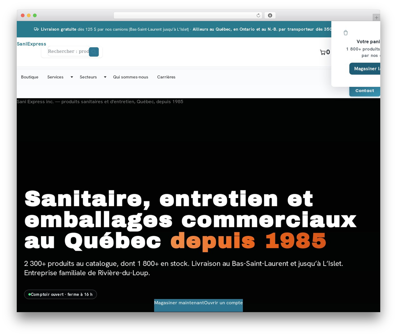 Bricks theme WordPress - saniexpress.ca