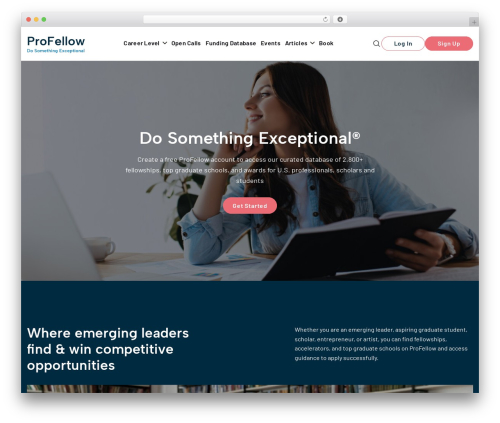 Profellow WordPress theme design - profellow.com