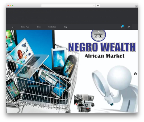 Alidswoo WordPress plugin - negrowealth.com
