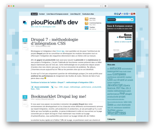 Custom Compositio WordPress theme - pioupioum.fr