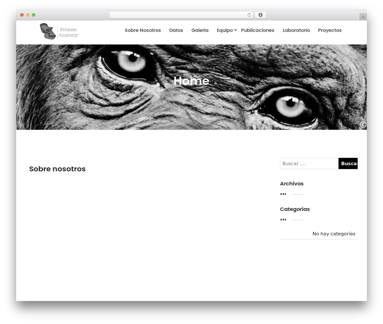 Mapro WP theme - primateanatomy.com Mapro WP theme - primateanatomy.com