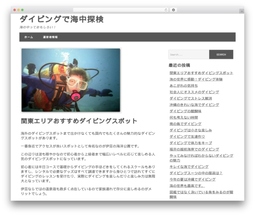 Minimize theme WordPress - piasso.jp