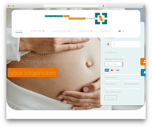 Sw popup WordPress plugin - ogbs.nl