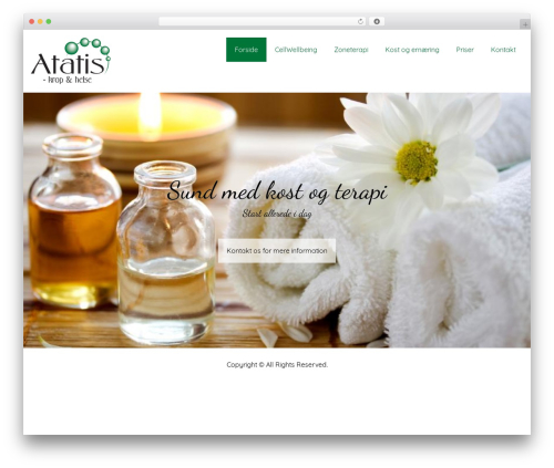 WordPress theme Inlay - atatis.dk