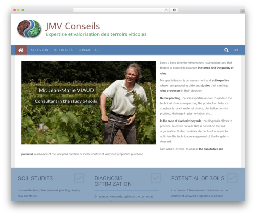 6temflex WordPress website theme - jmvconseils.com