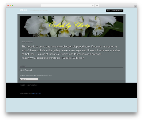 Best WordPress theme Modularity Lite - jcorchid.com