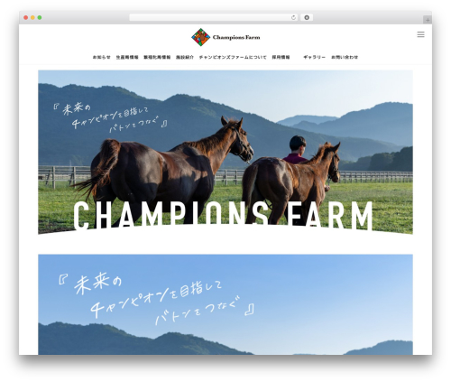 Vk filter search pro WordPress plugin - champions-farm.co.jp