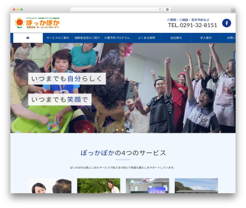 Lightning skin variety WordPress plugin - homehelp-taiyou.co.jp