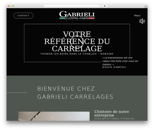Netdev footer WordPress plugin - gabrieli-carrelages.com
