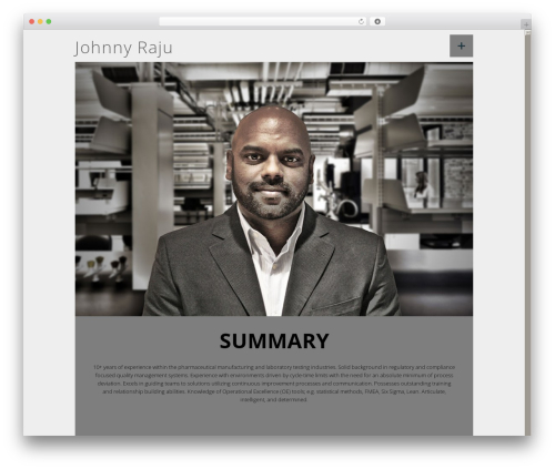 Profession WordPress theme - johnnyraju.com
