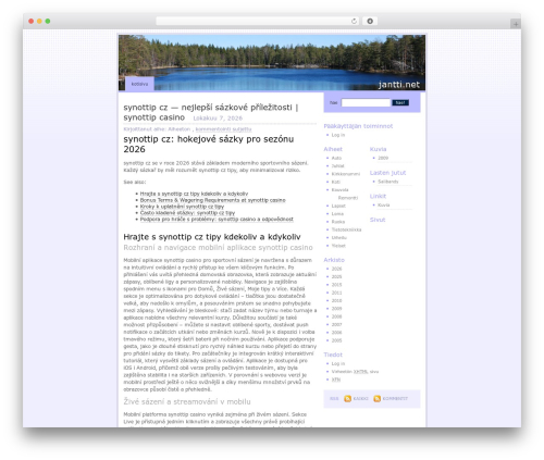 Regulus top WordPress theme - jantti.fi
