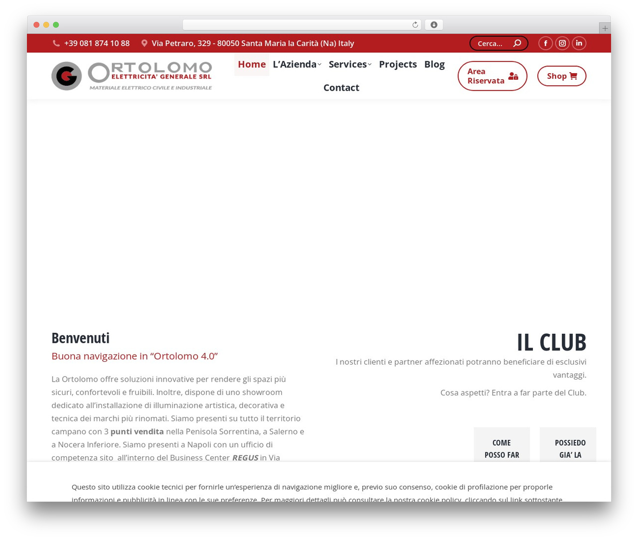 Theme WordPress The7 - ortolomo.it