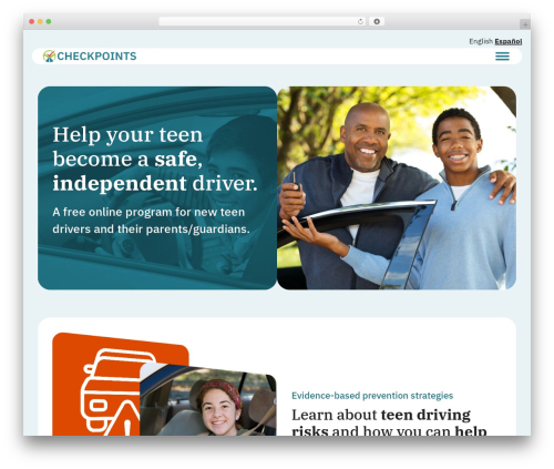 WordPress theme Checkpoints theme - youngdriverparenting.org