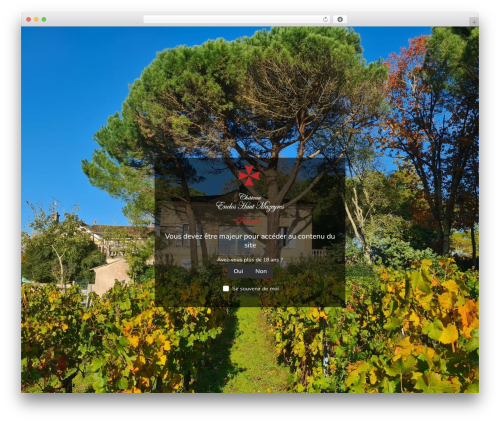 Divi mad menu WordPress plugin - chateau-enclos-haut-mazeyres.com