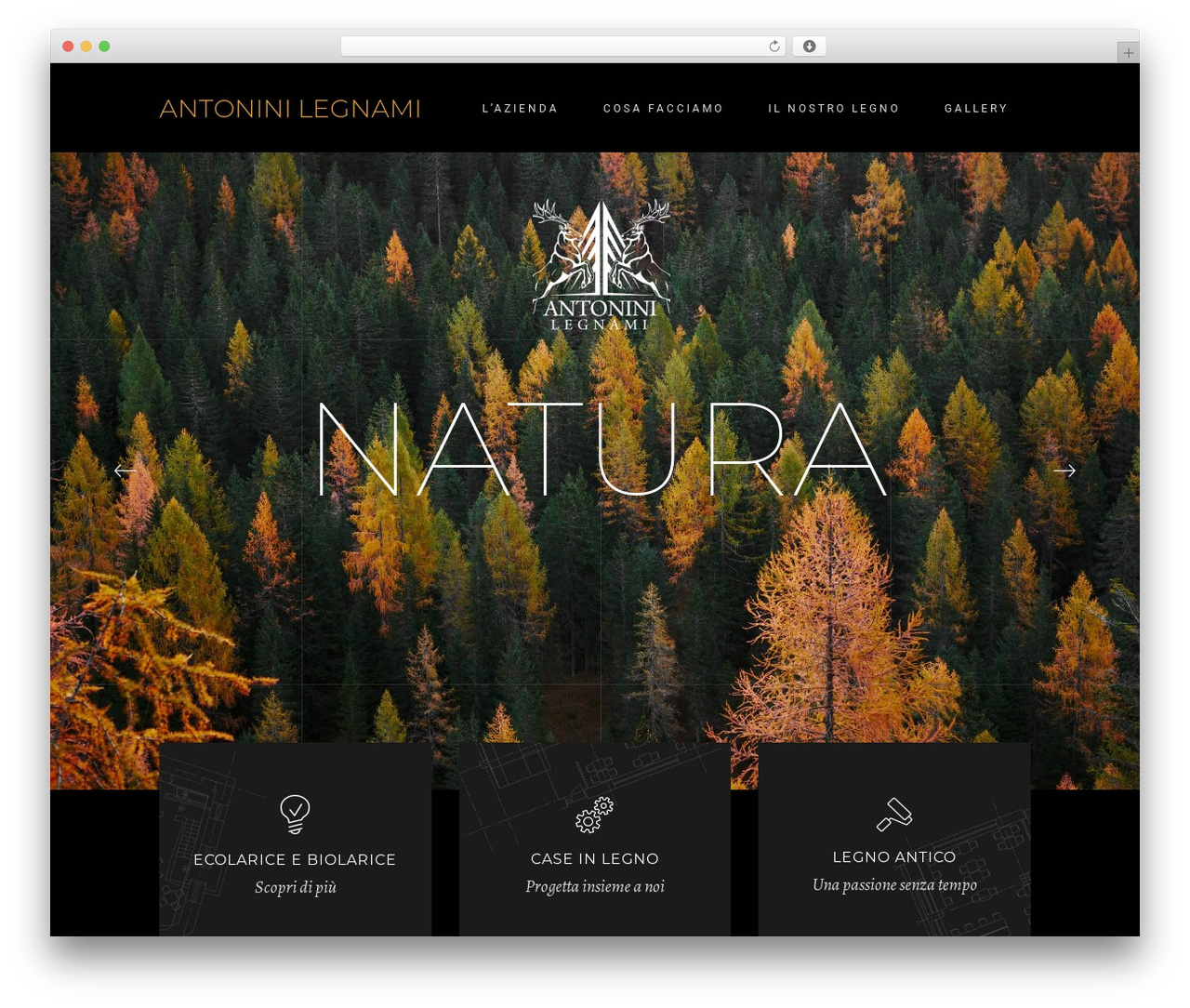 Dor theme WordPress - antoninilegnami.com