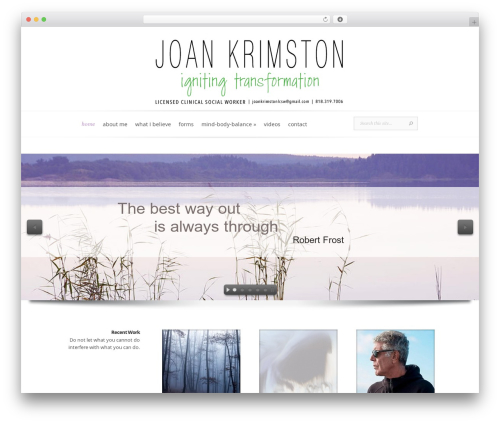 Evolution WordPress website theme - joankrimston.com