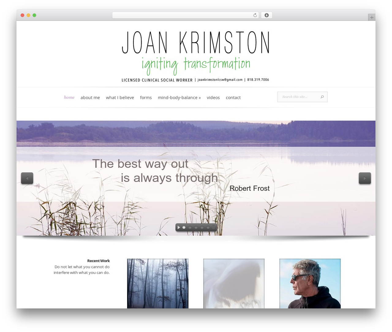 Evolution WordPress website theme - joankrimston.com