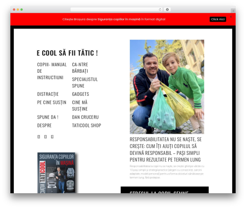 Patch best WordPress theme - blog.cristinapocora.ro