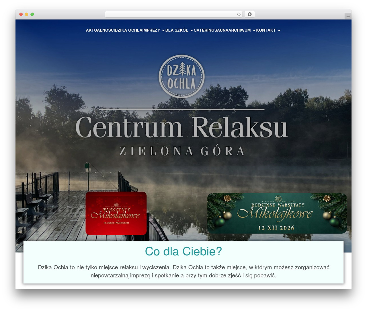 Shapely WordPress theme - dzikaochla.pl Shapely WordPress theme - dzikaochla.pl