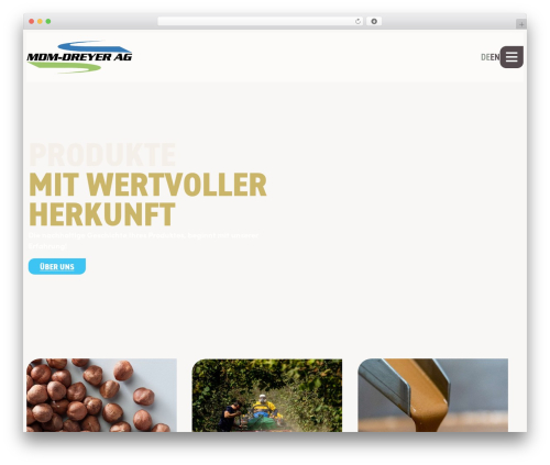 Website Namea WordPress theme - mdmdreyer.ch