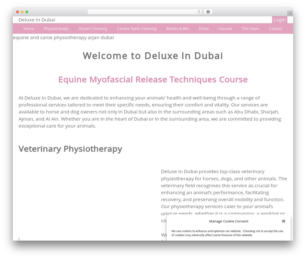 CustomTheme best WordPress theme - deluxeindubai.com