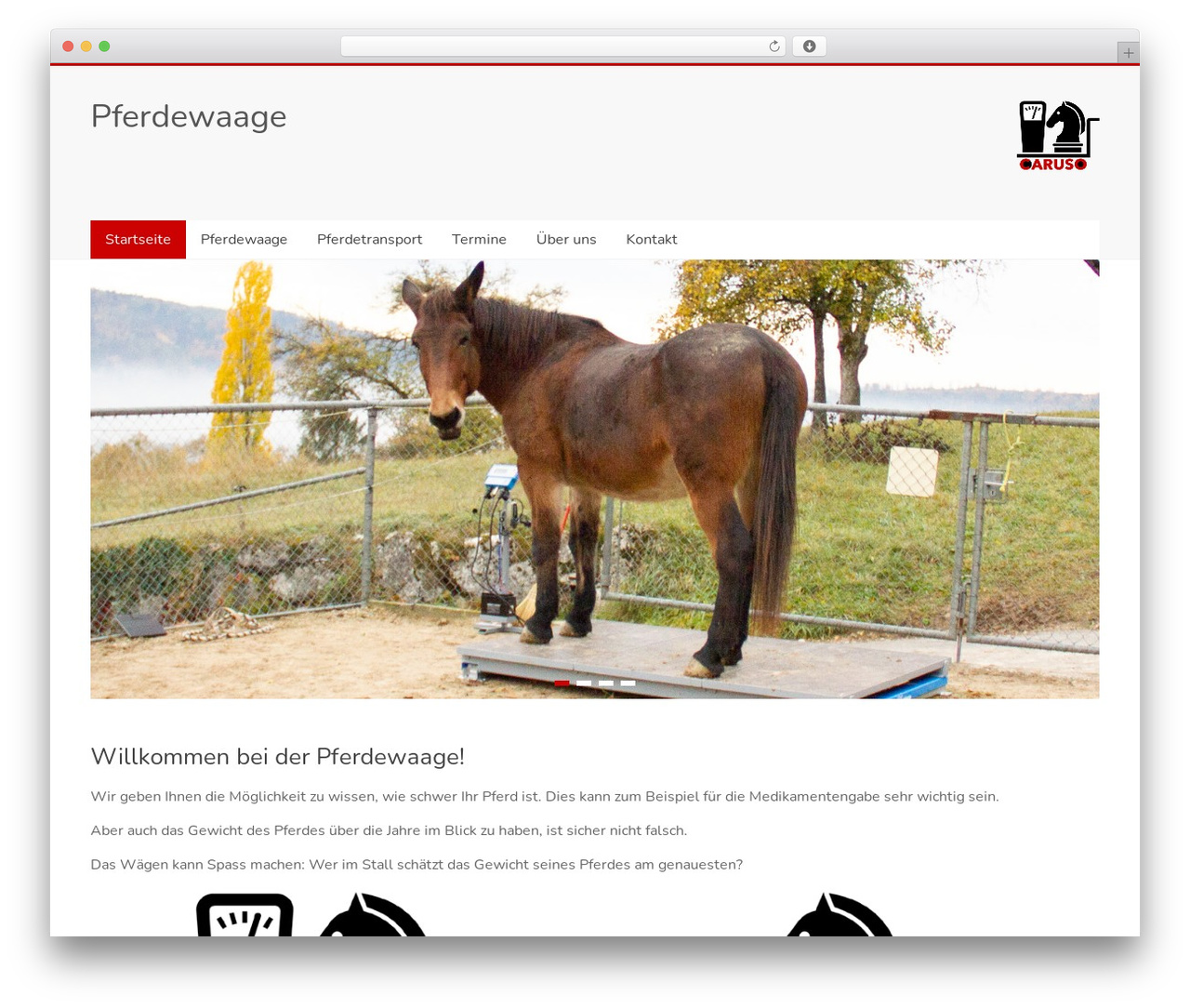 Theme WordPress Accelerate Pro - pferdewaage.ch Theme WordPress Accelerate Pro - pferdewaage.ch