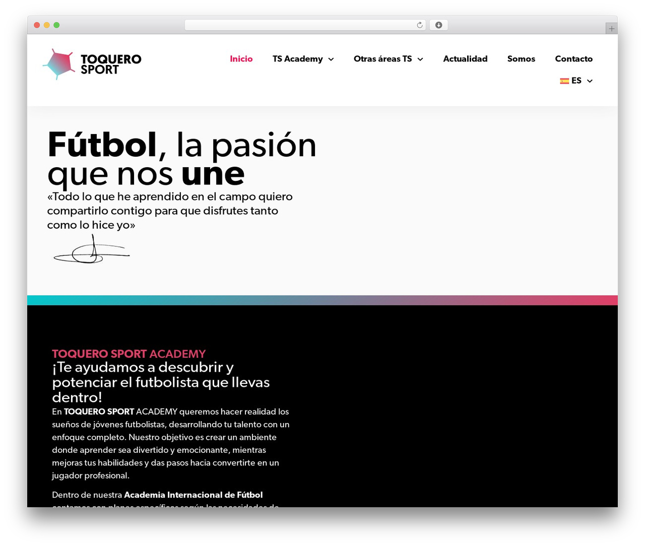 Theme WordPress Hello Elementor - toquerosport.com Theme WordPress Hello Elementor - toquerosport.com
