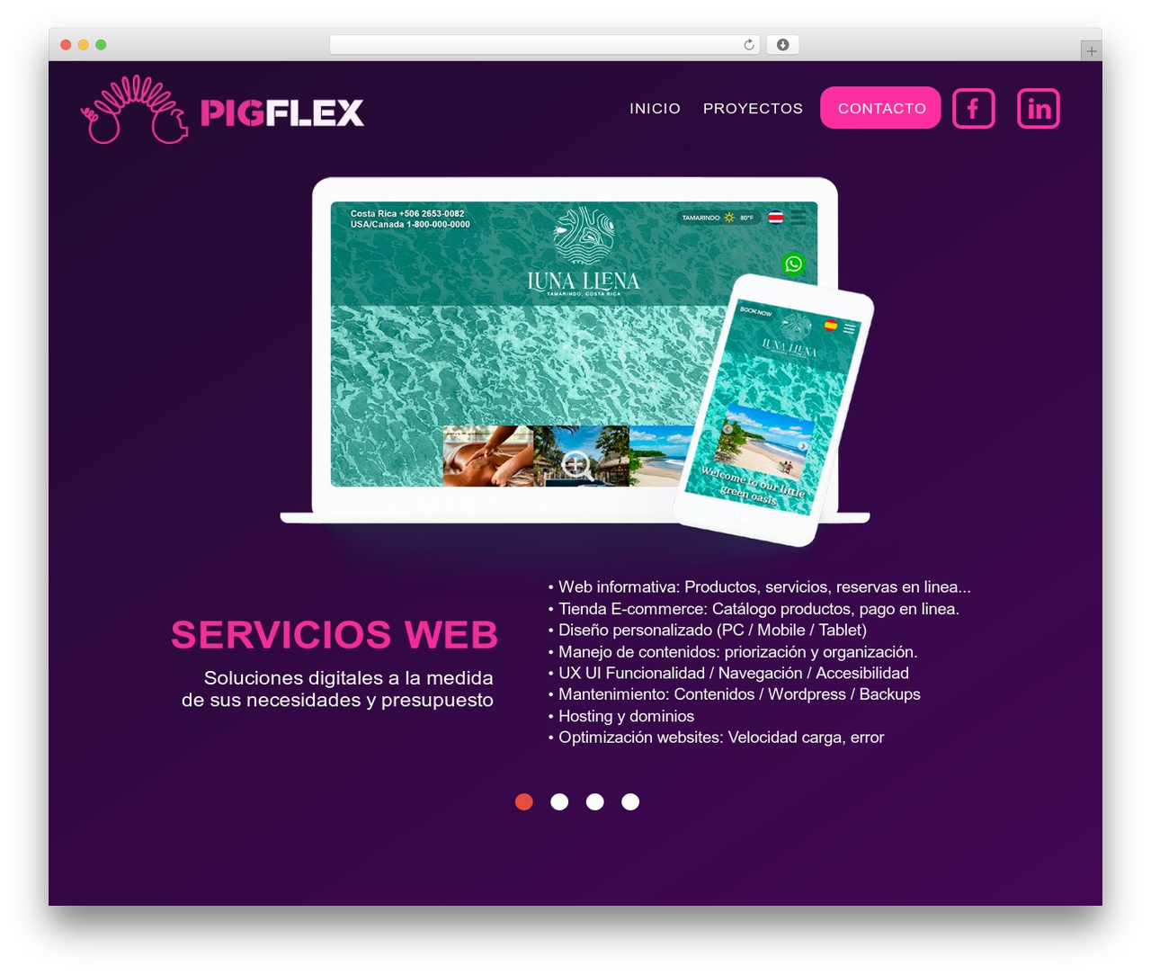 WordPress theme PigFlex Theme - pigflex.com WordPress theme PigFlex Theme - pigflex.com