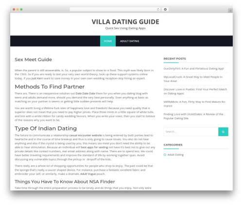 WordPress theme BHost - villaocupada.com