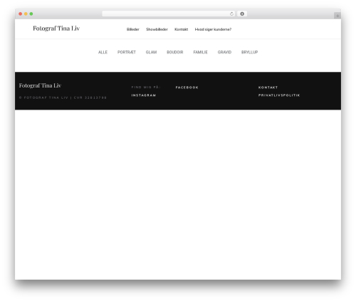 Theme WordPress Snapster - tinaliv.com