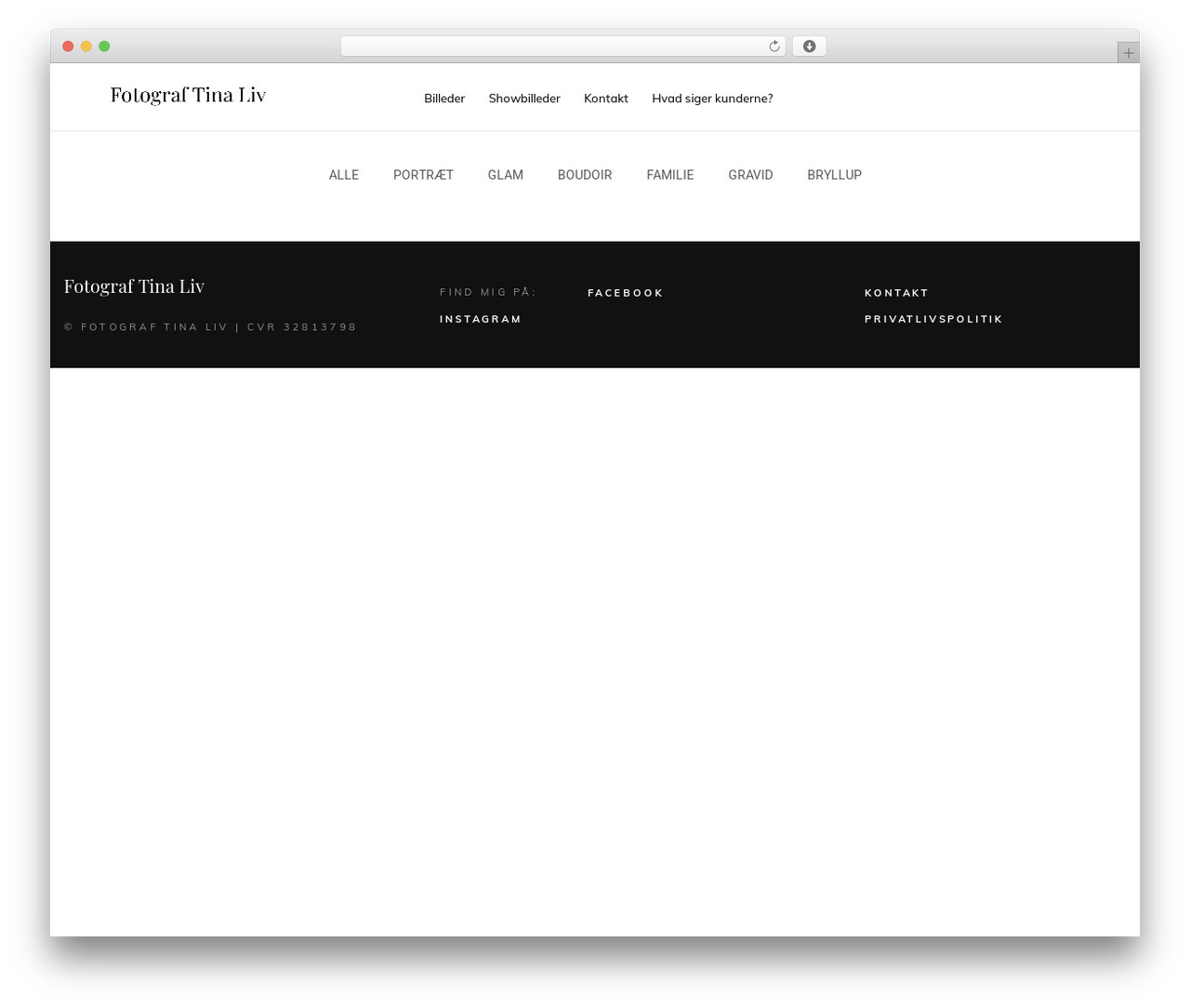Theme WordPress Snapster - tinaliv.com