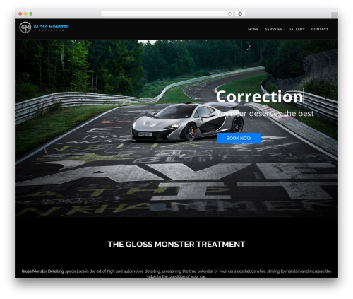 Font icons loader WordPress plugin - glossmonster.co.za