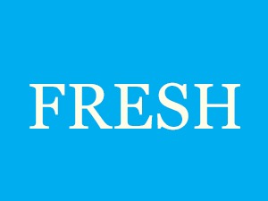 Blox WordPress theme Blox WordPress theme