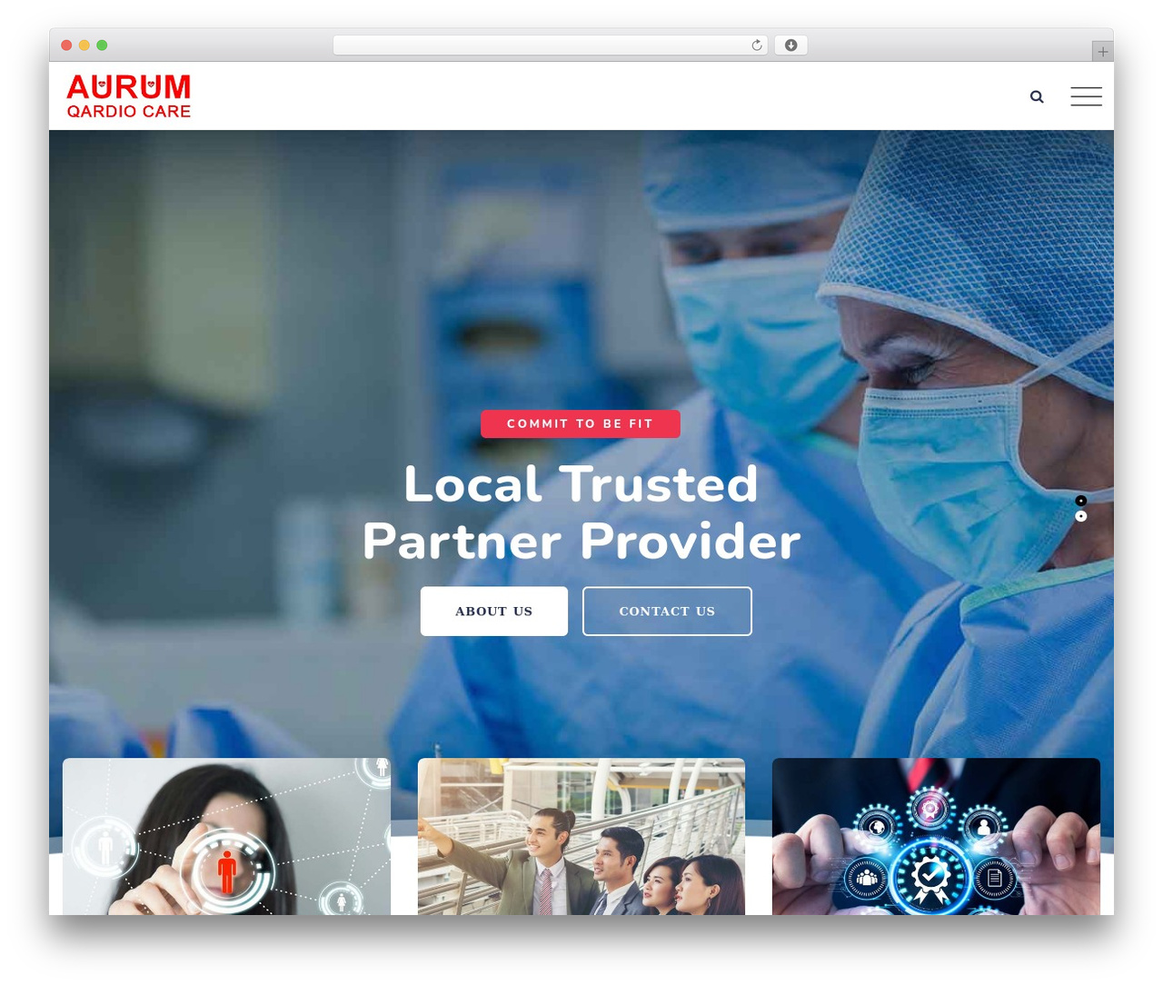 Cardioly WordPress theme - aurumqardiocare.com