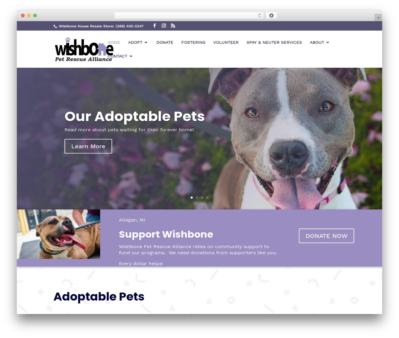 Divi WordPress theme - wishbonepetrescue.org Divi WordPress theme - wishbonepetrescue.org
