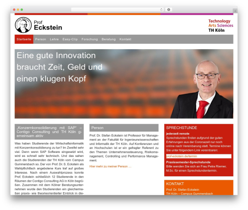 Fancy-Flat WP theme - prof-eckstein.de