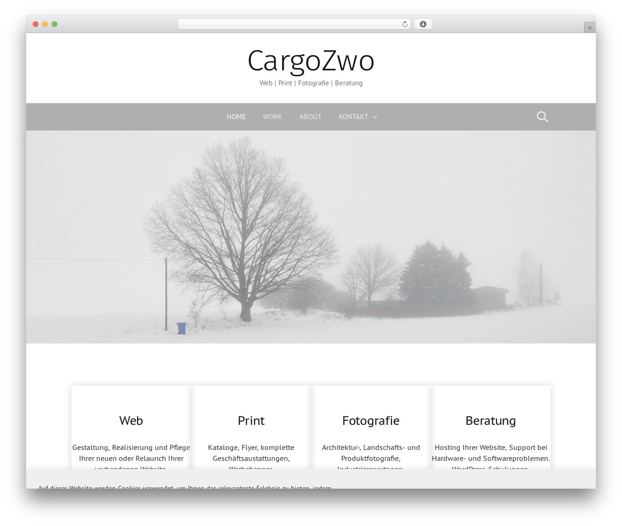 First theme WordPress - cargozwo.de