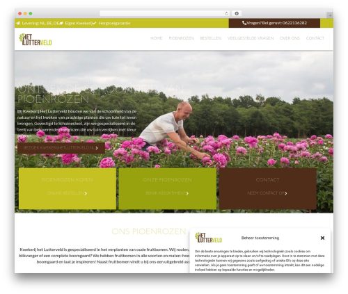 Hello Elementor premium WordPress theme - pioenenbestellen.nl