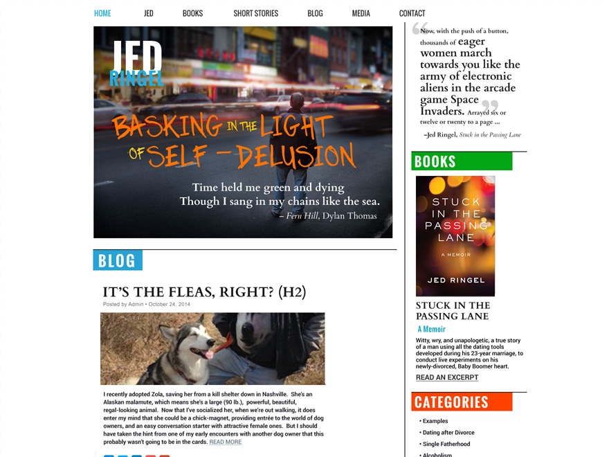 Jed Ringel WordPress theme design by Monkey C Media