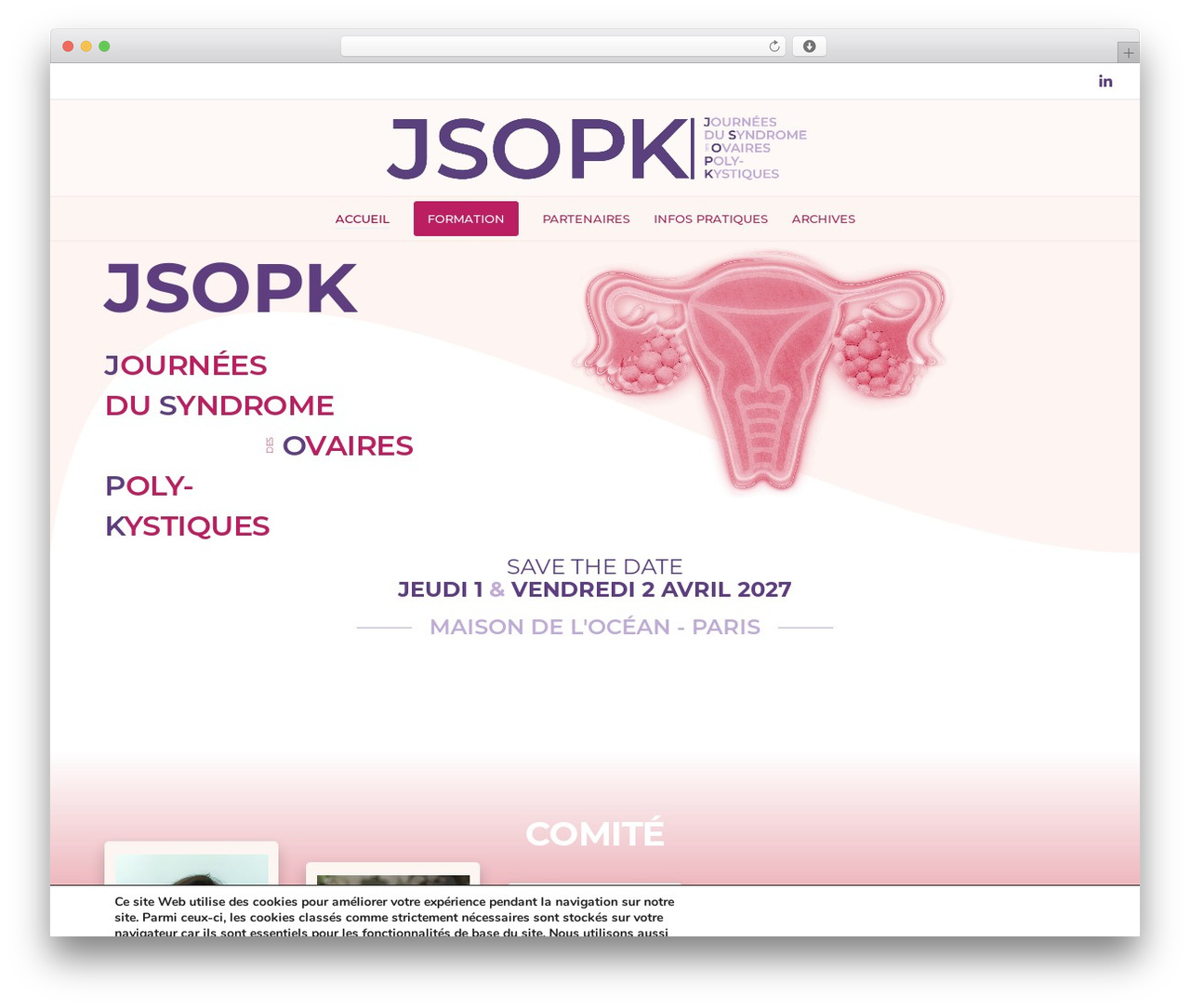 Movedo WordPress theme - jsopk.fr