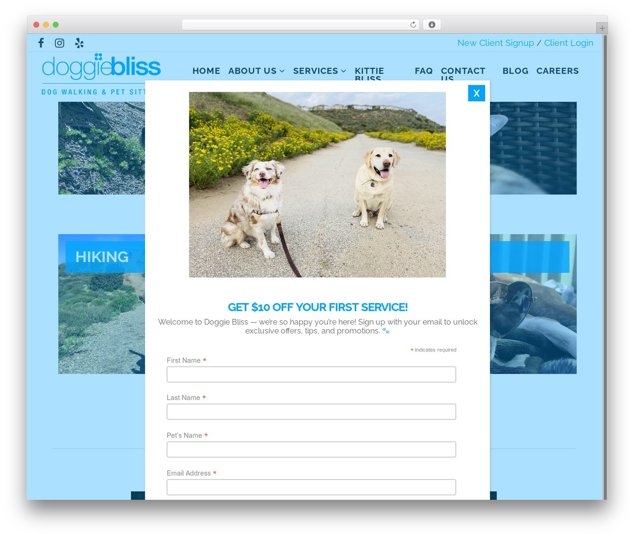Rare top WordPress theme - doggiebliss.net