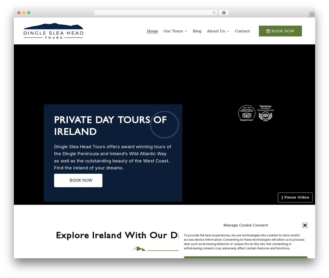 Shoptimizer WordPress theme - dinglesleaheadtours.com Shoptimizer WordPress theme - dinglesleaheadtours.com